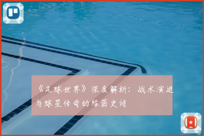 《足球世界》深度解析：战术演进与球星传奇的绿茵史诗