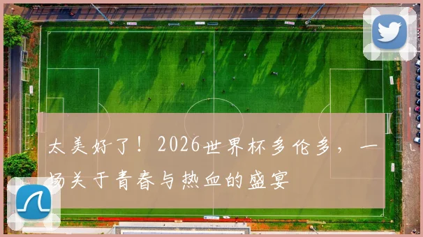 太美好了!2026世界杯多伦多,一场关于青春与热血的盛宴
