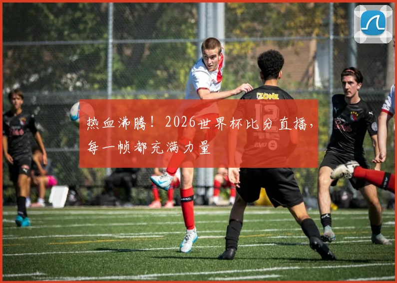 热血沸腾!2026世界杯比分直播,每一帧都充满力量